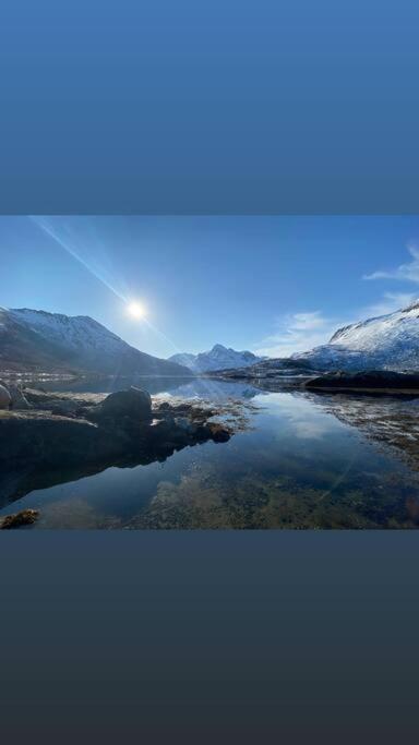 Sjarmerende Anneks I Sigerfjord, Vesteralen Sortland Eksteriør billede