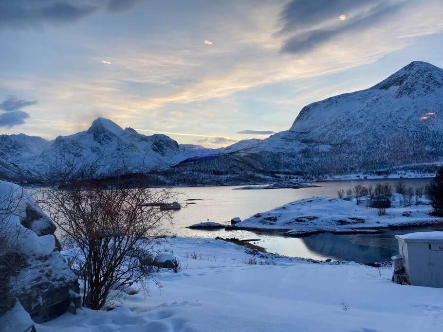 Sjarmerende Anneks I Sigerfjord, Vesteralen Sortland Eksteriør billede