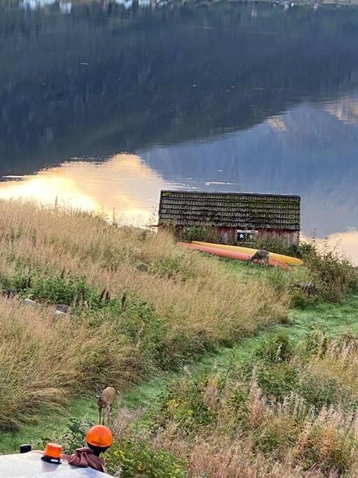 Sjarmerende Anneks I Sigerfjord, Vesteralen Sortland Eksteriør billede